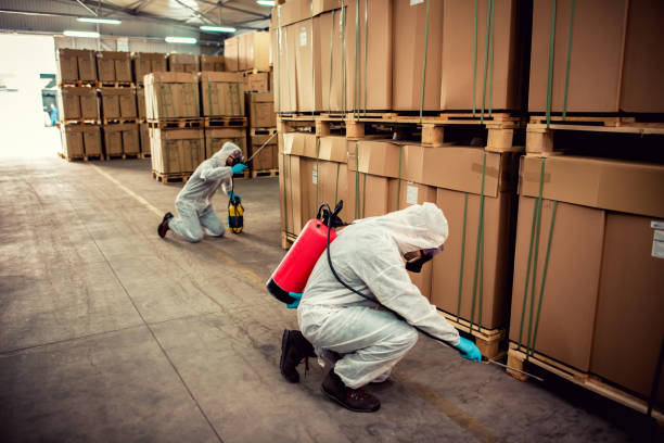 Best Termite Control Services  in Apple Valley, UT