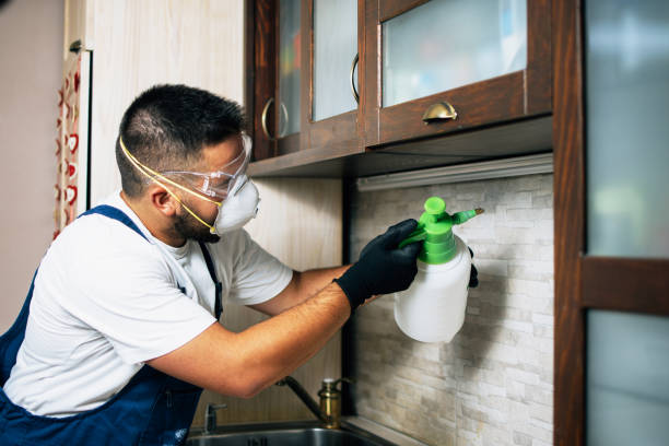 Best Pest Control Near Me  in Apple Valley, UT