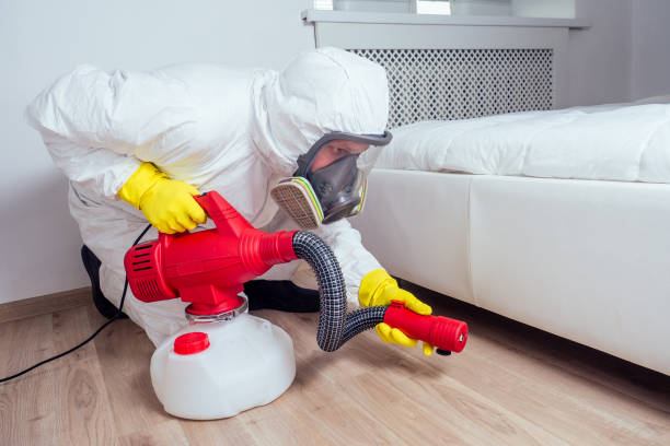 Best Pest Control Treatment  in Apple Valley, UT