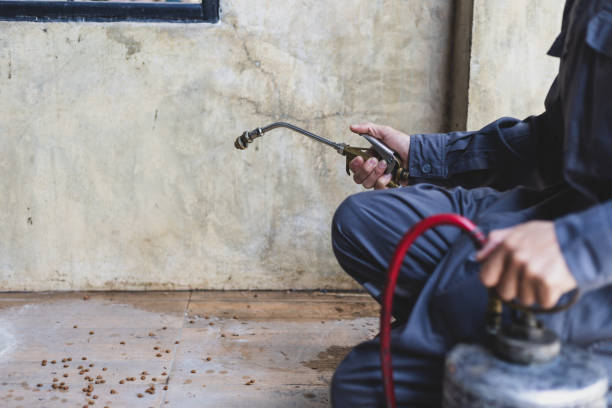 Reliable Apple Valley, UT Pest Control Solutions